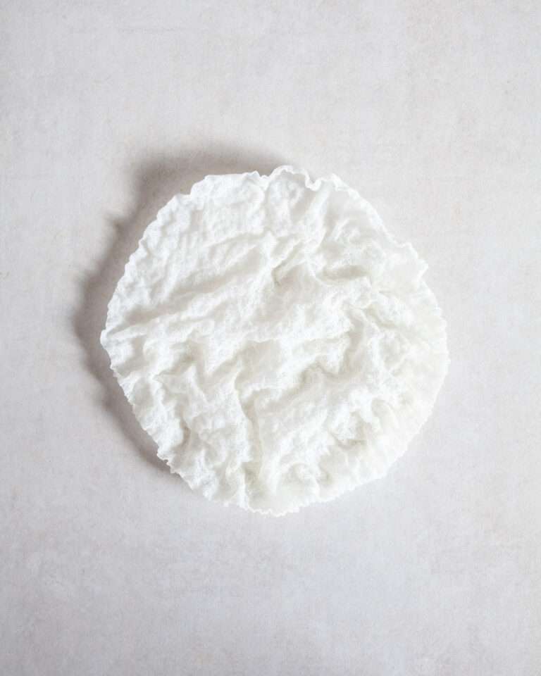 Rice Paper Crisps