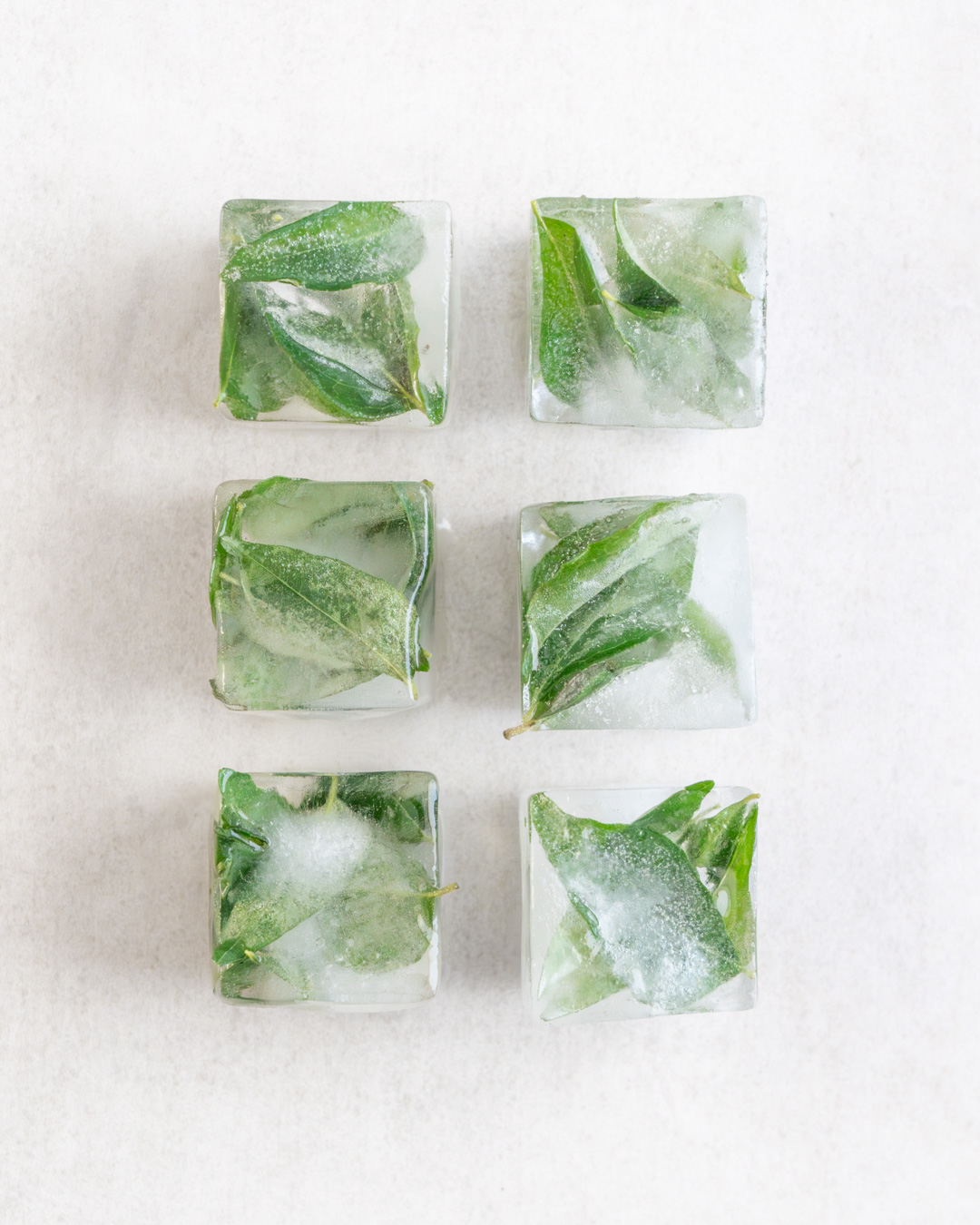 Curry Leaves Ice Cubes
